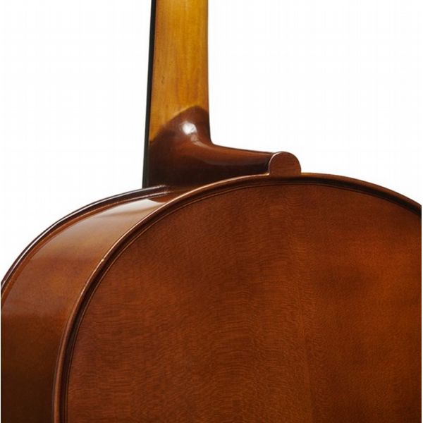 Stentor Student I Cello Outfit