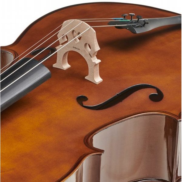 Stentor Student I Cello Outfit