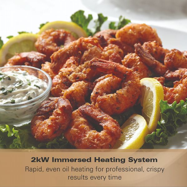 Hamilton Beach Professional Deep Fat Fryer