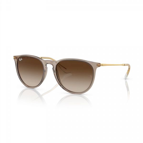 Rayban Erika Transparent Light Brown With Brown Lens